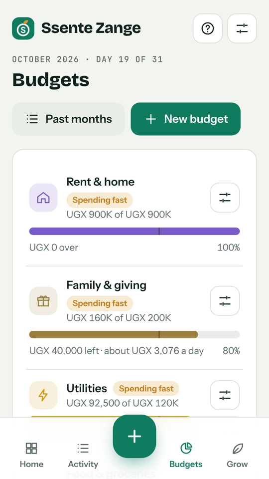 Budgets screen